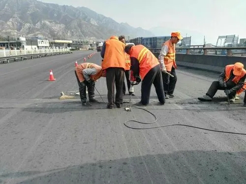 向阳街道道路桥梁病害治理